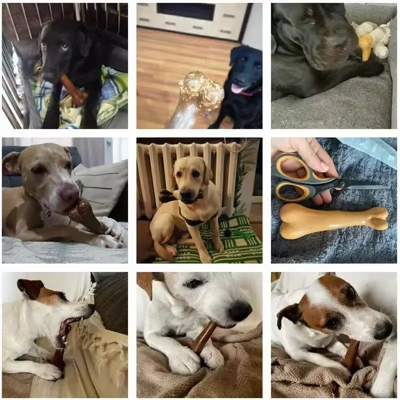 Dog Bone Chews Toys Nearly Indestructible Natural Non-Toxic