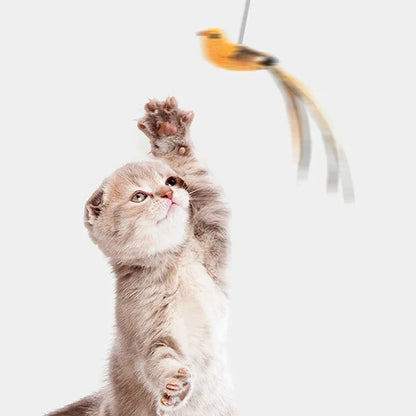 Simulated Bird Cat Toys Upgraded Epoxy Sucker Steel Wire
