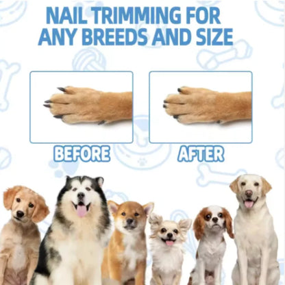 Wooden Pet Scratching Board for Dogs