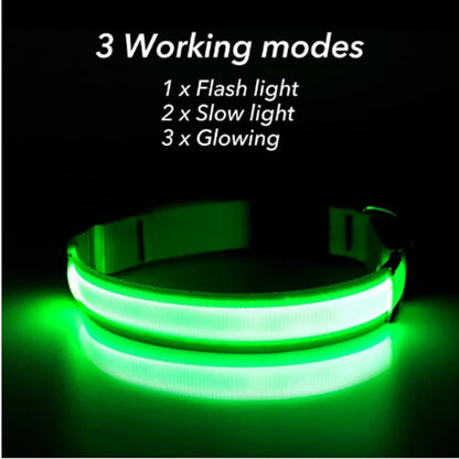 Usb Charging Glowing Dog Collar With Pendant Detachable