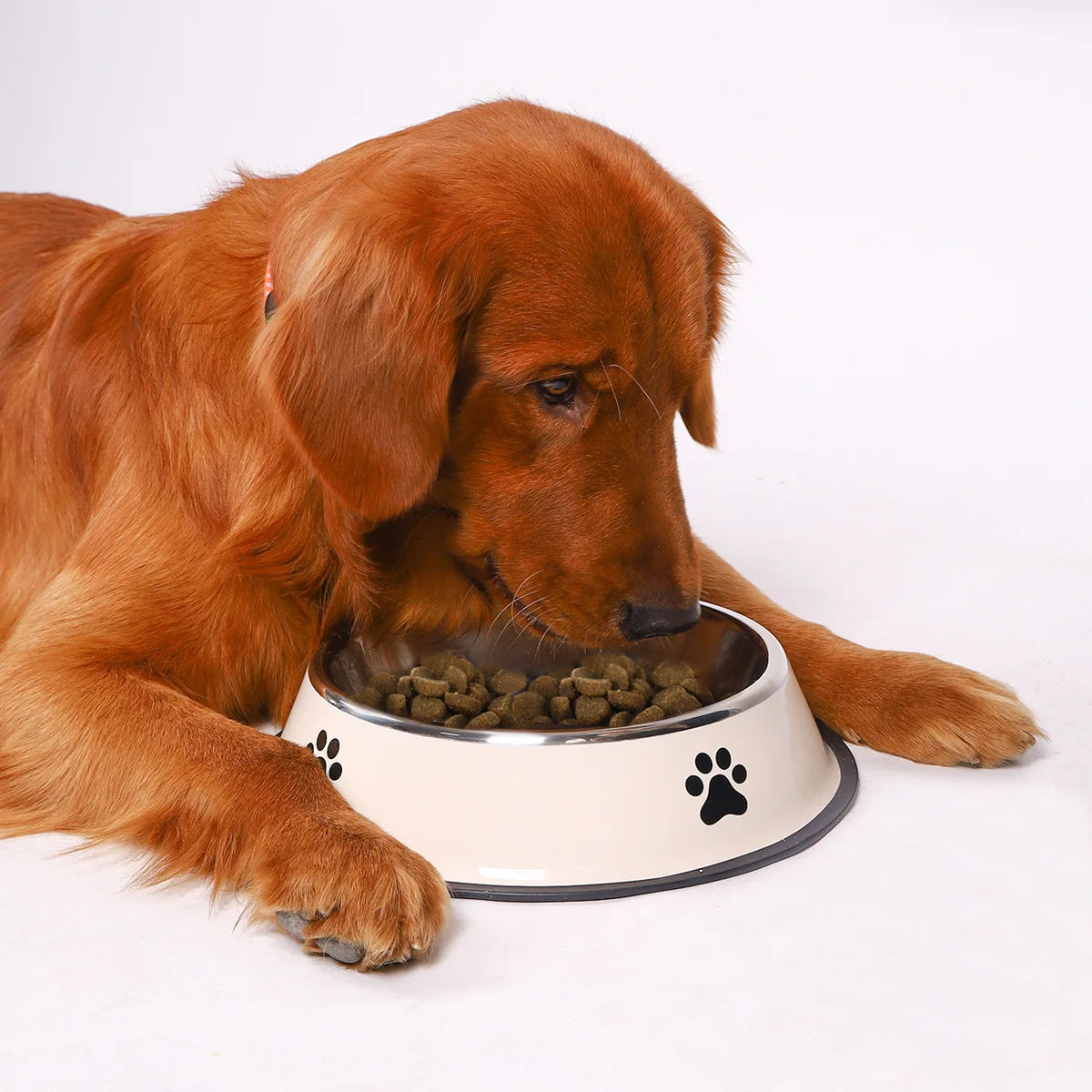 Stainless steel large capacity pet bowl dog food bowl