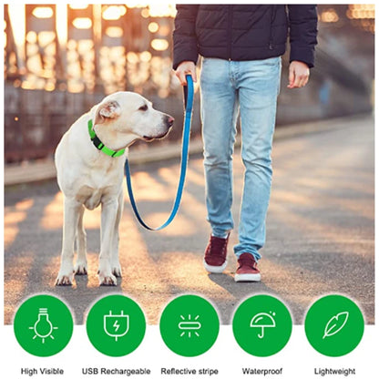 Usb Charging Glowing Dog Collar With Pendant Detachable