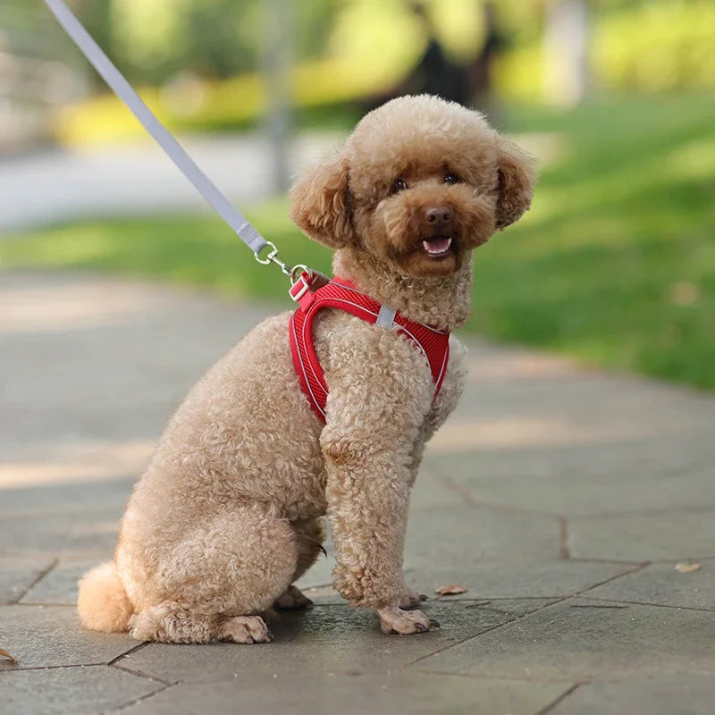 Puppy Harness Set Dog Accessories Adjustable Harness