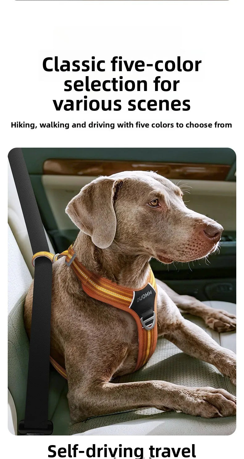 Car Safety Dog Harness with Dual Handle Quick Release