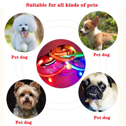 Usb Charging Glowing Dog Collar With Pendant Detachable