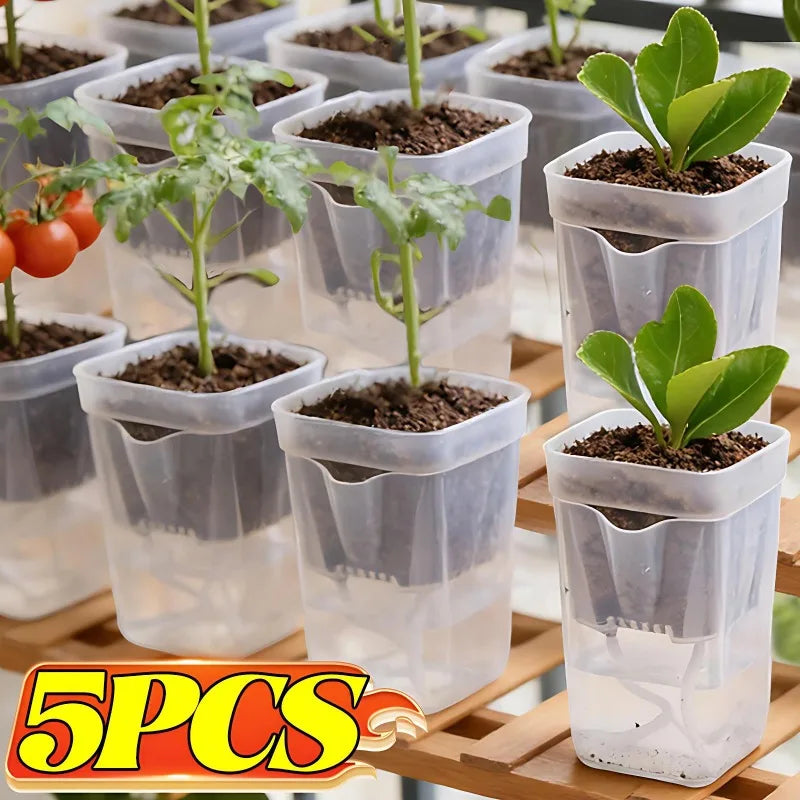 Transparent Flower Plant Pot Self Watering Planter