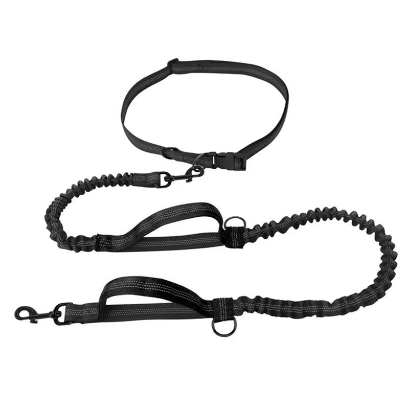 Double elastic reflective running leash portable
