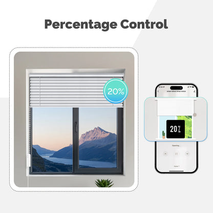 Tuya WiFi Smart Curtain Motor MOES Electric Roller Blinds