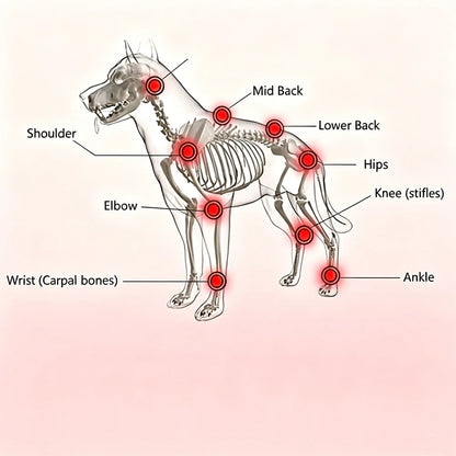 Red Light Therapy Device for Pain Relief Infrared Light