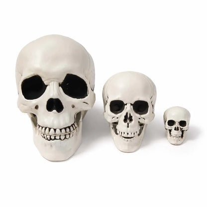 Halloween Skull Decoration,Realistic Plastic Skull,Head Skeleton