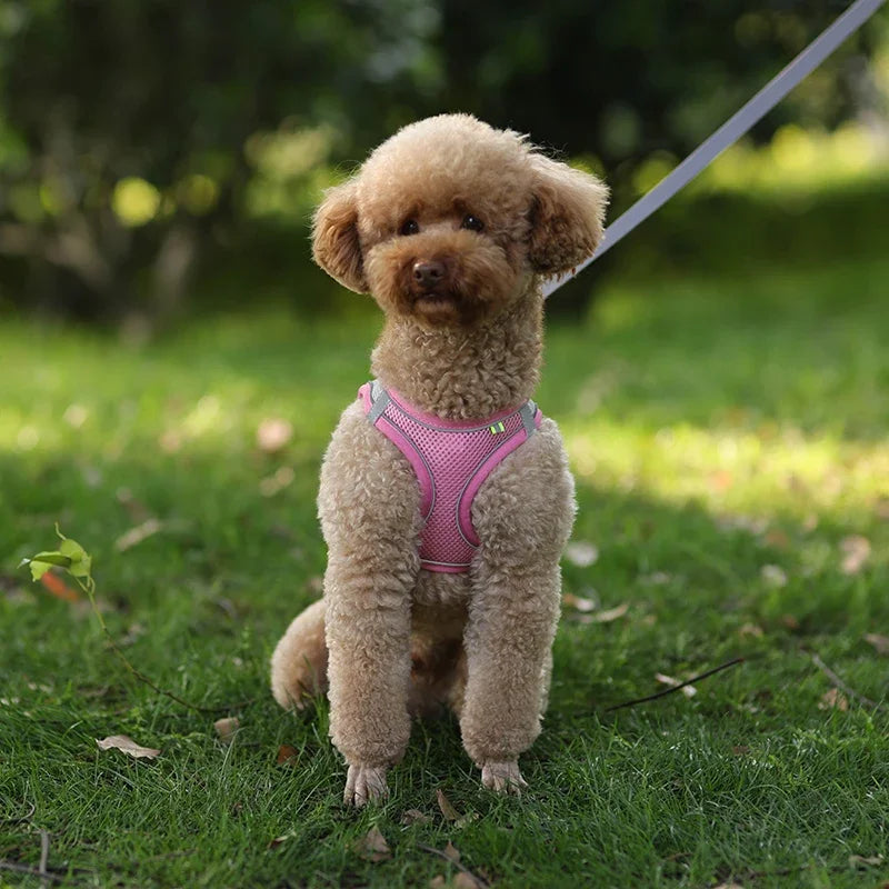 Puppy Harness Set Dog Accessories Adjustable Harness