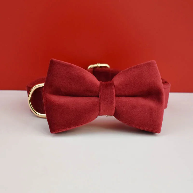 Velvet Collar Free Engrave Dog Collar Leash Dog Collars