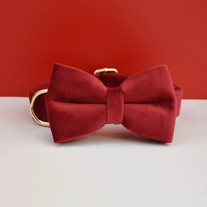 Velvet Collar Free Engrave Dog Collar Leash Dog Collars
