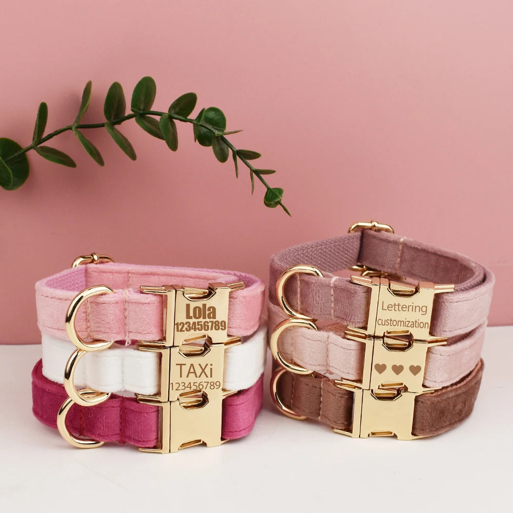 Velvet Collar Free Engrave Dog Collar Leash Dog Collars