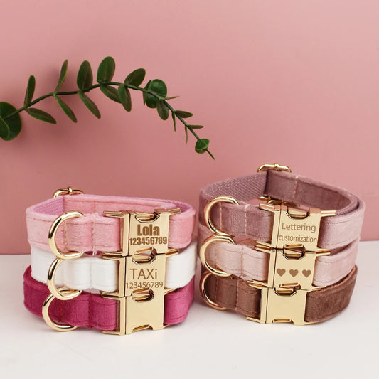Velvet Collar Free Engrave Dog Collar Leash Dog Collars