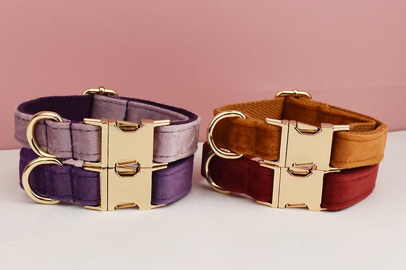 Velvet Collar Free Engrave Dog Collar Leash Dog Collars