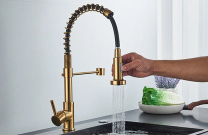 Brushed Gold Kitchen Faucet Pull Down 2-way Spray Single