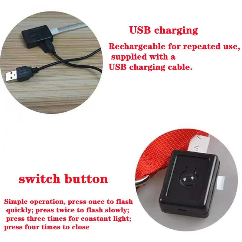 Usb Charging Glowing Dog Collar With Pendant Detachable