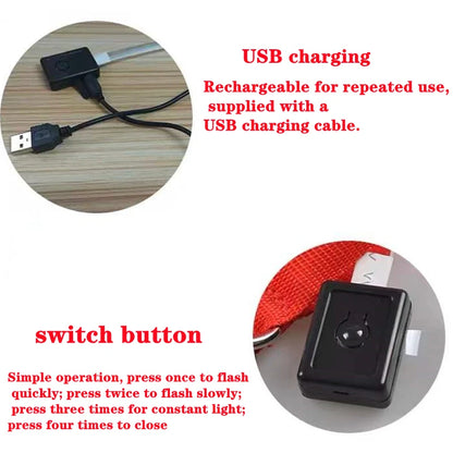 Usb Charging Glowing Dog Collar With Pendant Detachable