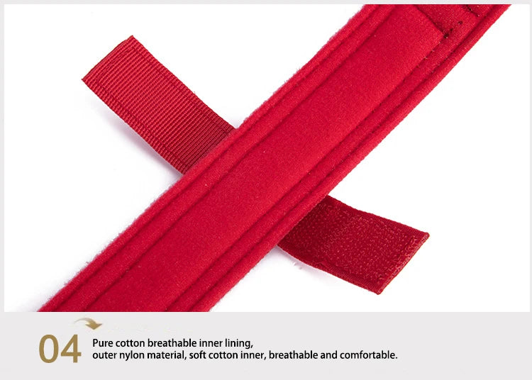 Pet Dog Collar Leash Set Nylon Material Durable Dog Collar