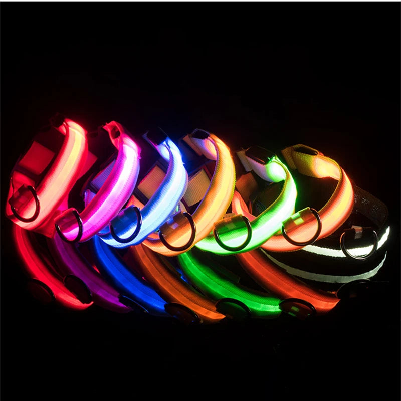 Usb Charging Glowing Dog Collar With Pendant Detachable