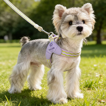 Puppy Harness Wear Simple Mesh Breathable Outdoor