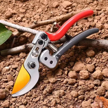 Horticultural Shears Trim Branches Fruit Trees Flowers