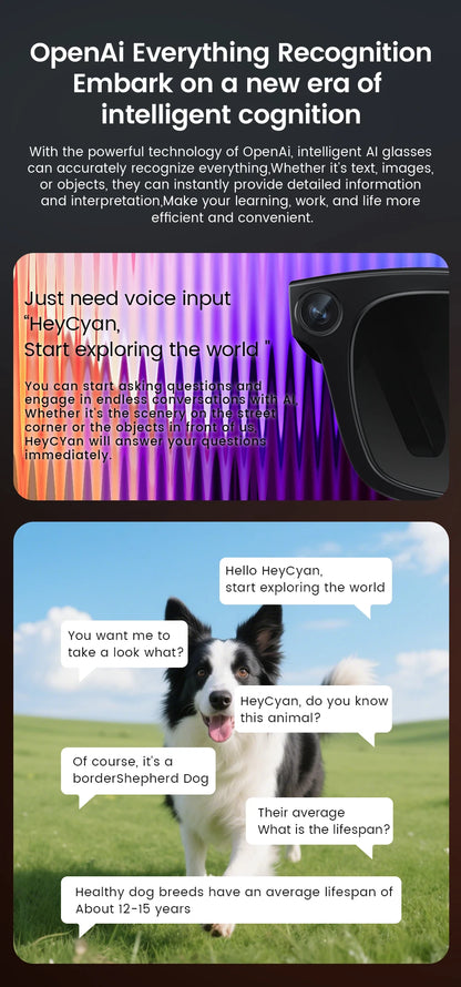 Smart Glasses HD Photo Video OpenAI Record Translation