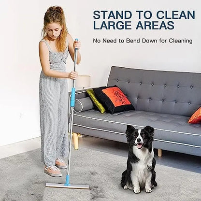 Carpet Rake Pet Hair Remover Set Pet Hair Removal Tool