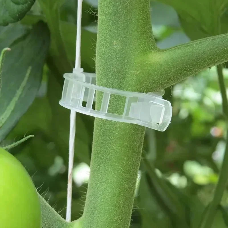 Plant Support Clips Reusable Plastic Connects Vine
