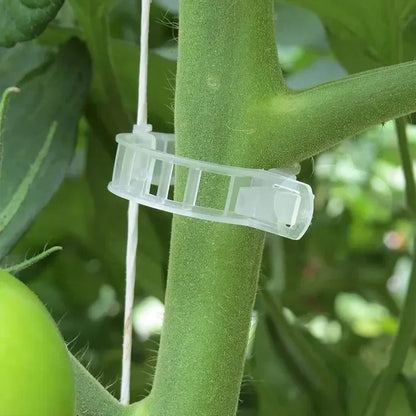 Plant Support Clips Reusable Plastic Connects Vine