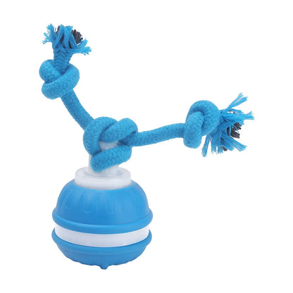 Cat Dog Interactive Ball Toy Automatic Rolling Ball