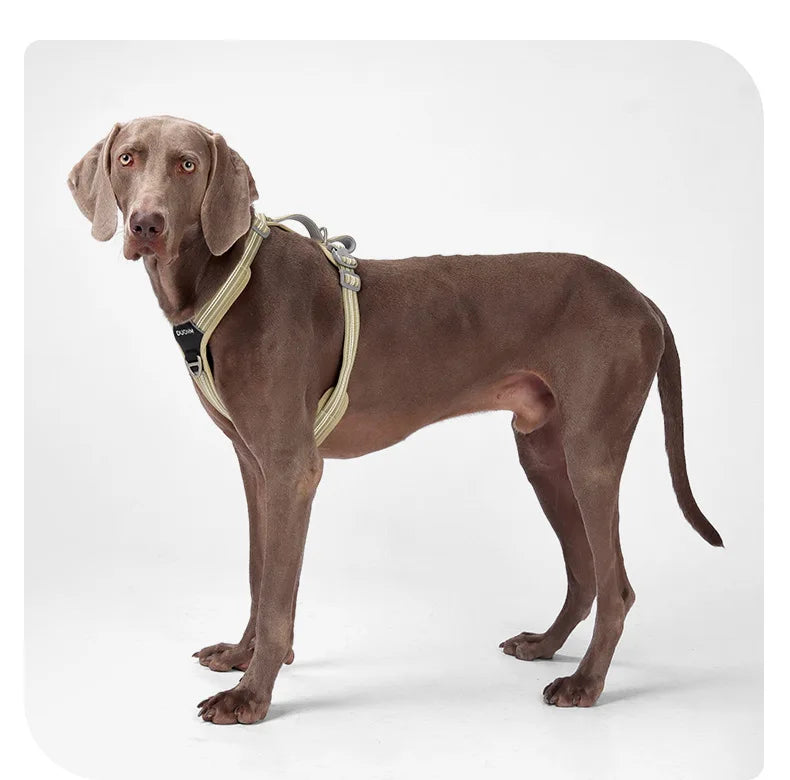 Car Safety Dog Harness with Dual Handle Quick Release
