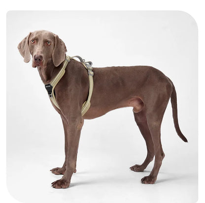 Car Safety Dog Harness with Dual Handle Quick Release