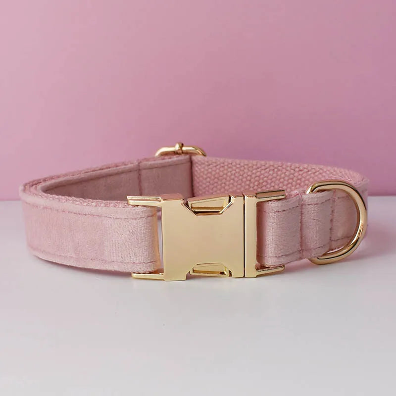 Velvet Collar Free Engrave Dog Collar Leash Dog Collars