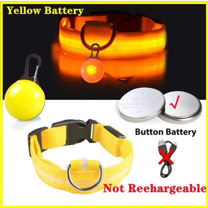Usb Charging Glowing Dog Collar With Pendant Detachable