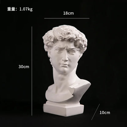 Home Decoration David Head Resin Statues Statues