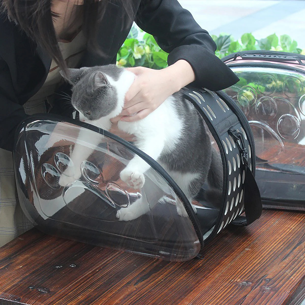 Pet Shoulder Bag Cat Carrier Outdoor Travel Handbag