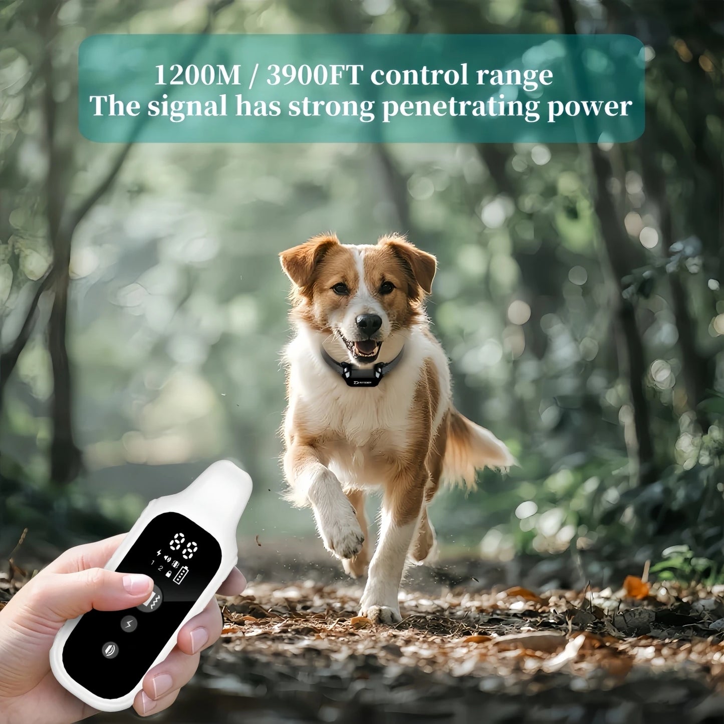 800m Digital Dog Training Collar Shock Vibration Sound