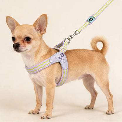 Puppy Harness Wear Simple Mesh Breathable Outdoor