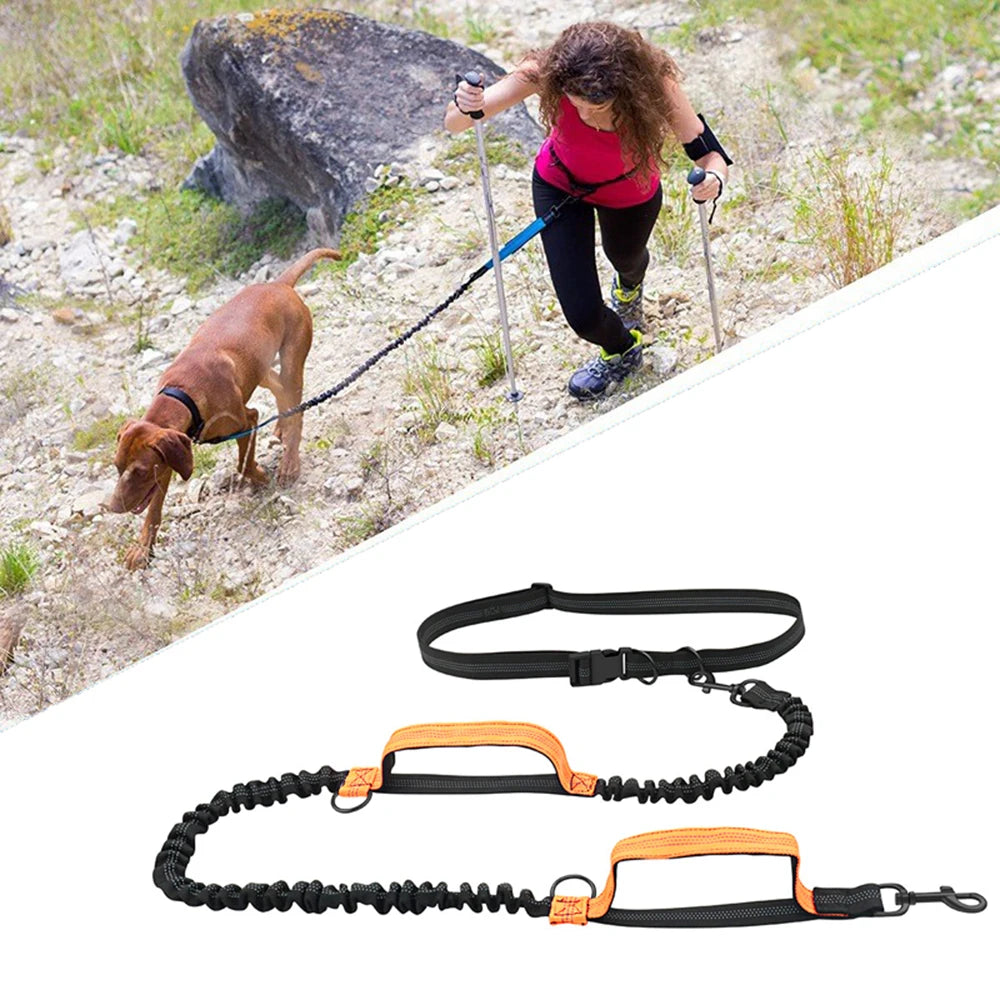 Double elastic reflective running leash portable
