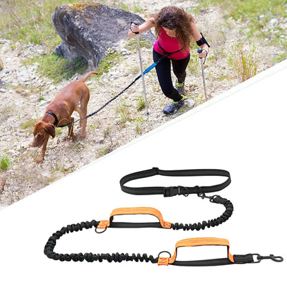 Double elastic reflective running leash portable