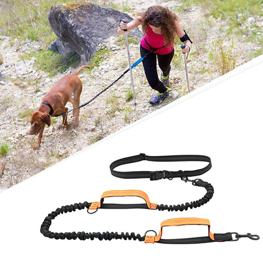 Double elastic reflective running leash portable