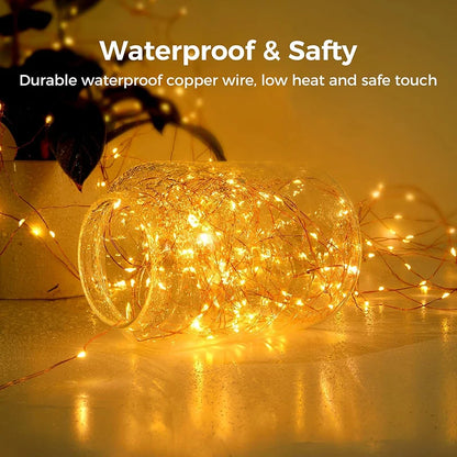 LED Fairy String Lights USB Plug with Remote Garland Light