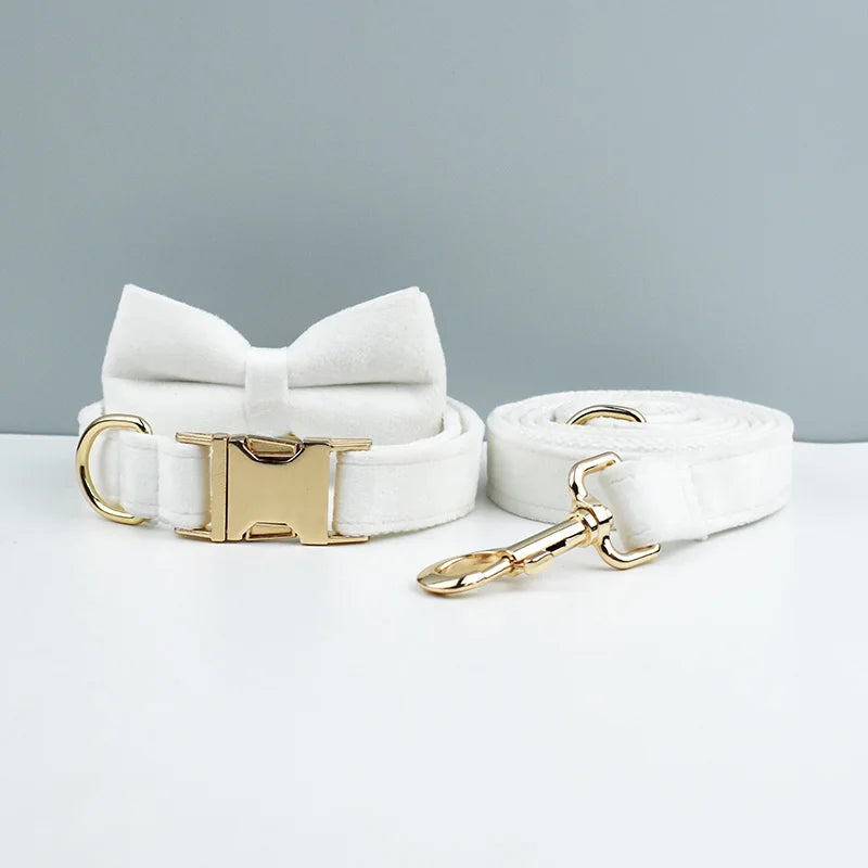Velvet Collar Free Engrave Dog Collar Leash Dog Collars