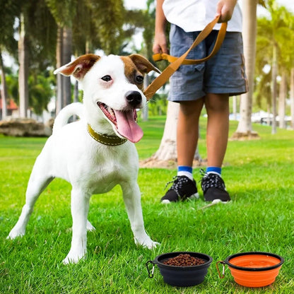 Pet Folding Silicone Bowl Large Outdoor Pet Travel Bowl