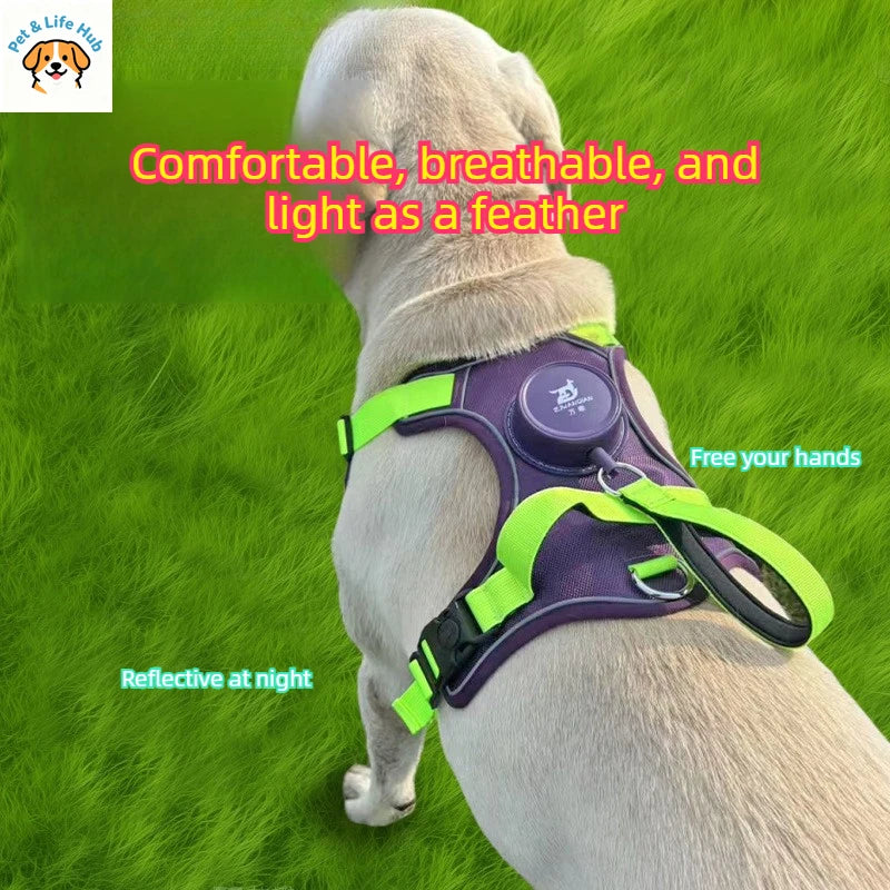 Automatic retractable dog leash with chest and back strap