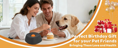 Slow Feeder Dog Bowls for Liquid Treat Bone Broth