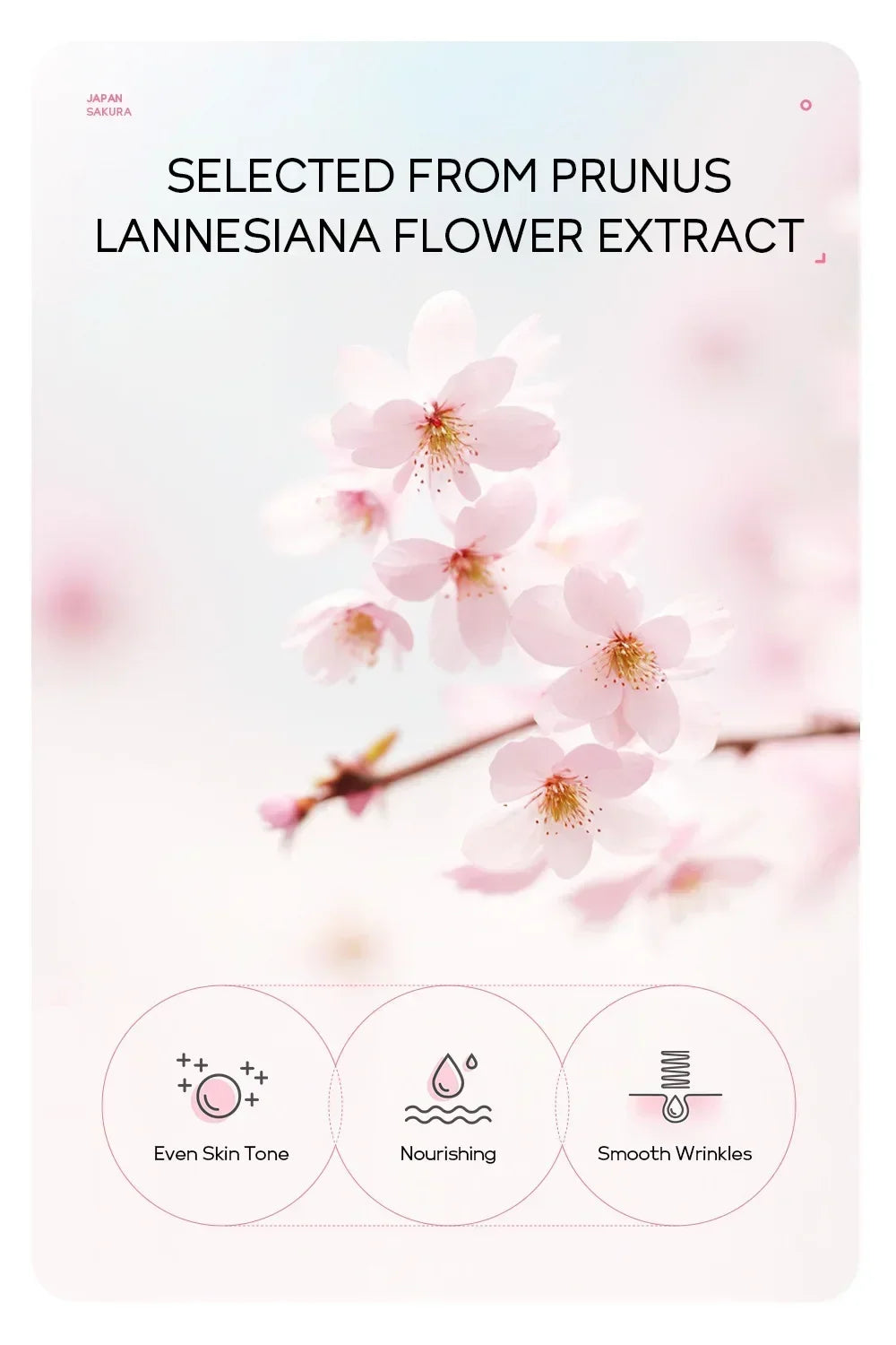 Cherry Blossom Peel Off Mask ,Hydrating & Deep Cleansing