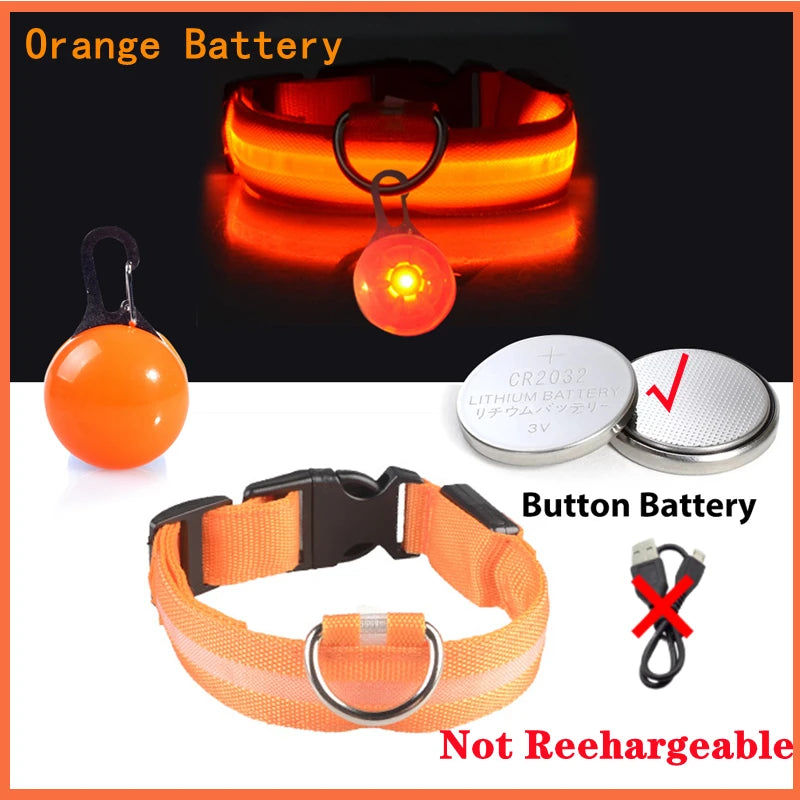 Usb Charging Glowing Dog Collar With Pendant Detachable